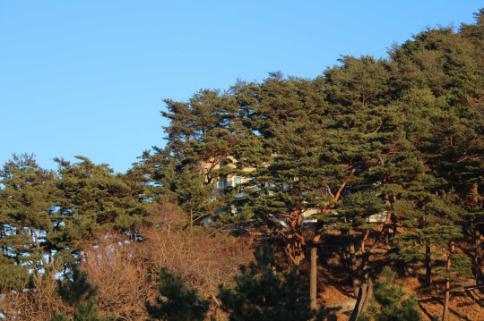 화진포의 성(김일성 별장)