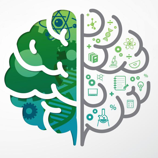 암기식 한계… 수학도 뇌 기반 맞춤형 교육 필요