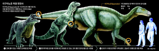 이구아노돈 복원 변천사
