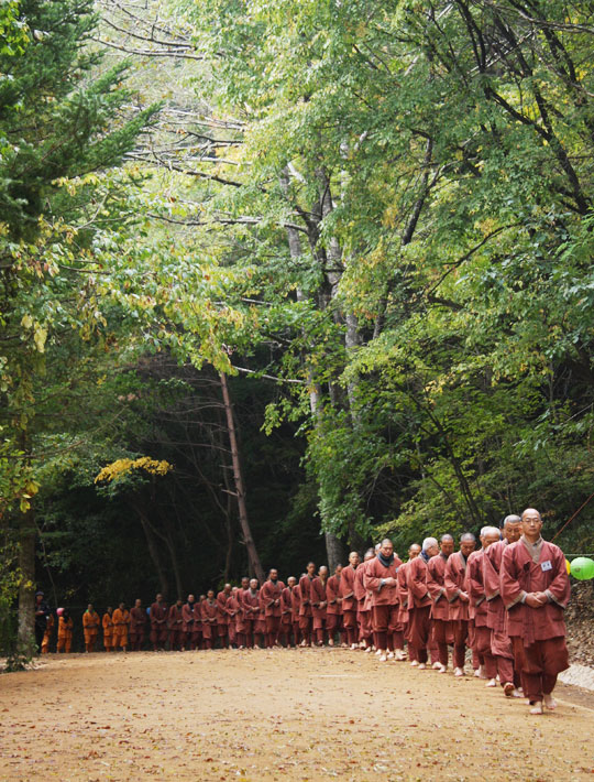 
	월정사 전나무 숲길을 맨발로 걷고 있는 단기출가학교 수행자들. 
