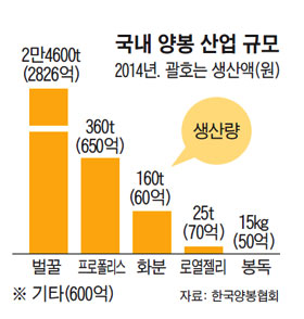 
	[Why] 허니버터칩·꿀막걸리… 꿀맛에 빠진 대한민국
