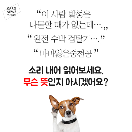 
	[카드뉴스] 알겠니? 무슨 말인지
