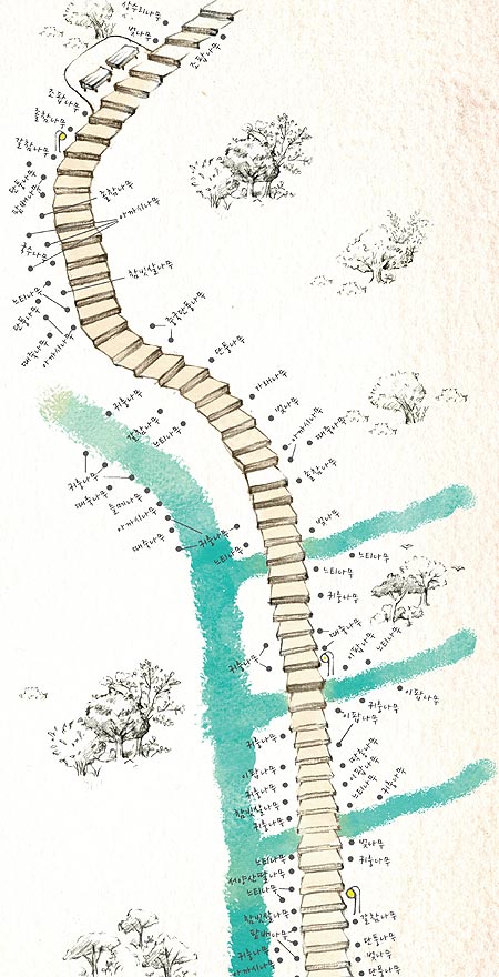 
	‘삼청공원 나무지도’의 일부. 성균관대 후문으로 이어지는 가회 배수지 나무데크 길 주변 나무 지도다. 
