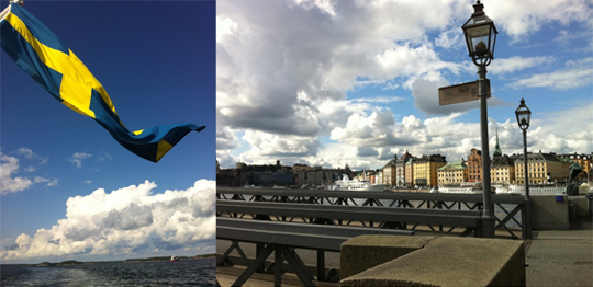 차별화된 유럽전문 어학강의 선보여, 북유럽 복지국가 스웨덴어 강의개설 눈길