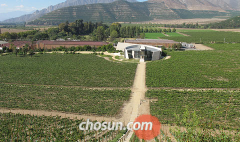 아콘카구아 계곡에 자리 잡은 에라주리즈 와이너리