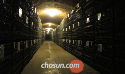 에라주리즈 와이너리 지하의 숙성 및 저장실