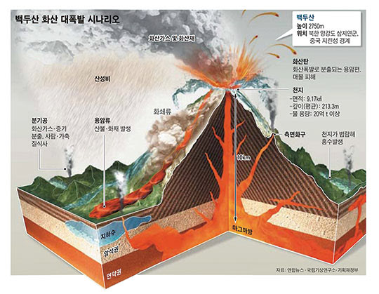 그래픽 = 김현지 조선일보 기자