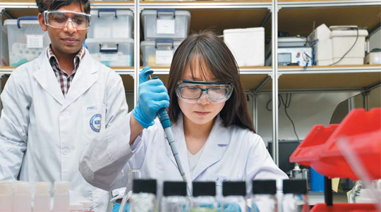 [2015 아시아 대학평가] 자연과학 톱100에 한국대학 14곳… 한양大·부산大 약진