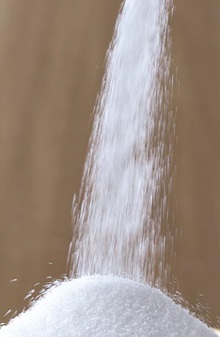 설탕의 모든 것