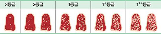 쇠고기 근내지방도에 의한 등급기준. /건강한 식품선택을 위한 꼼꼼가이드