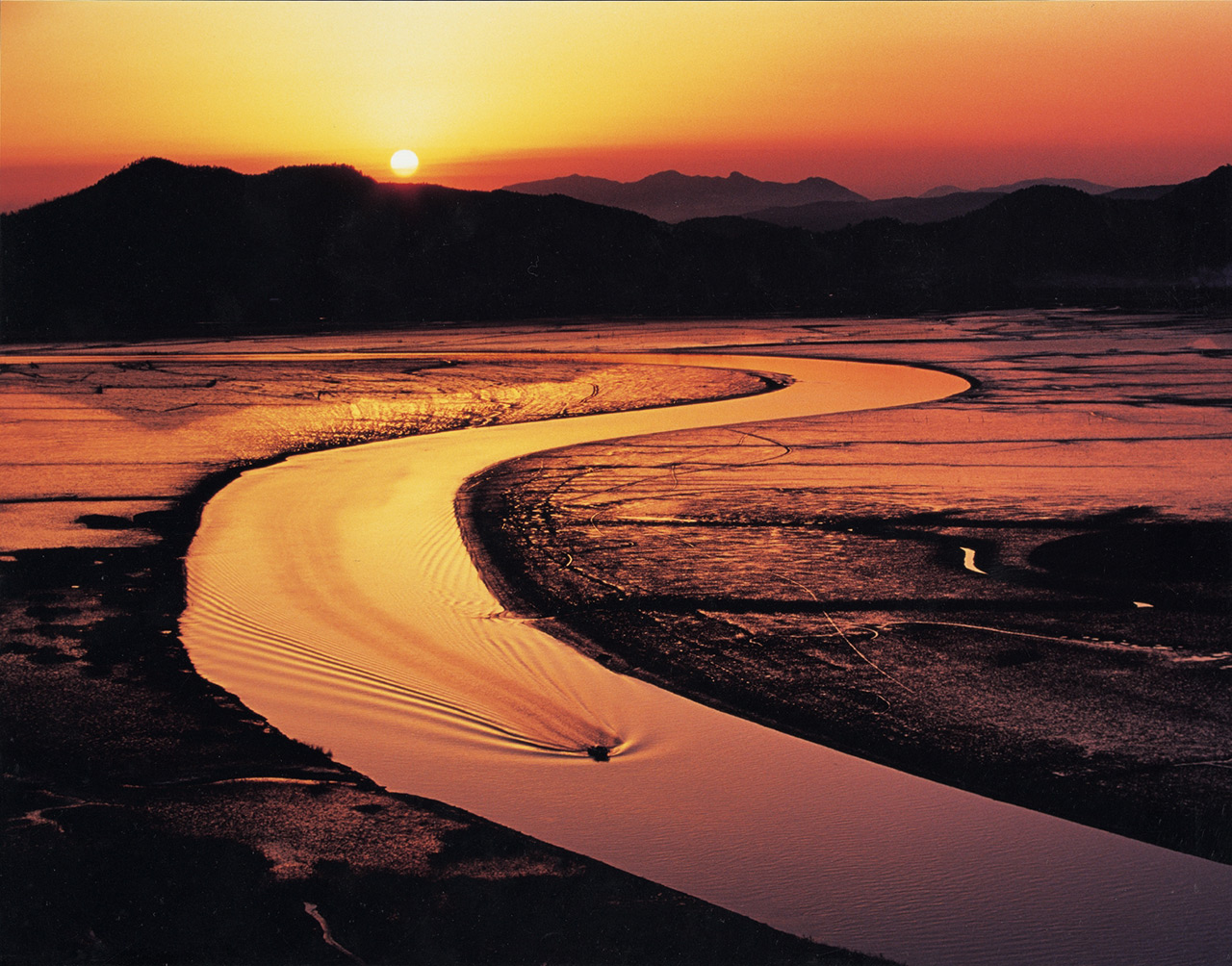 호남지역에서 살기좋은도시로 많이 언급되는곳 | 인스티즈