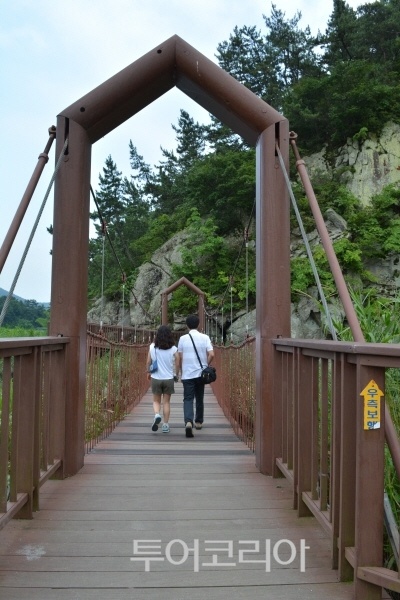 순천만 숲6 이미지