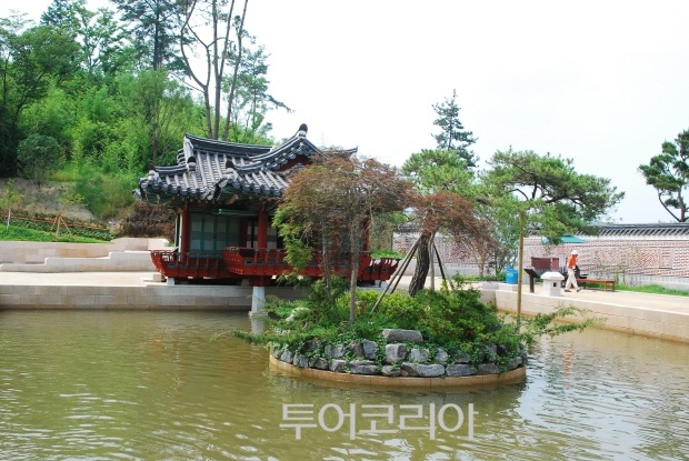 순천만 숲6 이미지