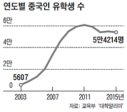 연도별 중국인 유학생 수 그래프