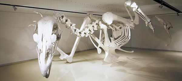 작가는“200여 개의 뼈 모형을 갤러리로 옮기기 위해 5톤 트럭과 1톤 트럭 총 2대가 동원됐다”고 말했다.