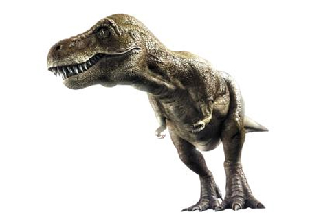 공룡의 대멸종은 소행성이나 혜성이 북미 유카탄 반도 인근에 충돌하면서 화산 폭발을 가속화했기 때문인 것으로 추정된다. 
