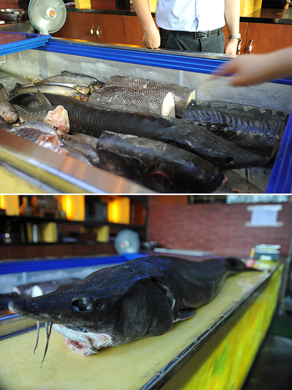 야생식당 이미지