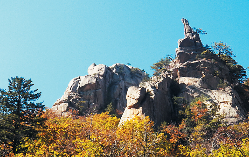 독자 찰칵 사진