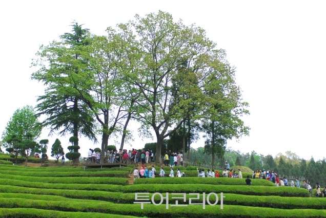 더낭만 이미지