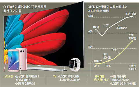 OLED 디스플레이 시장 성장 추이 그래프