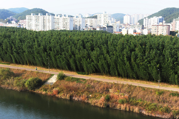 [포토] 배타고 즐기는 울산의 풍경, '태화강 나룻배'