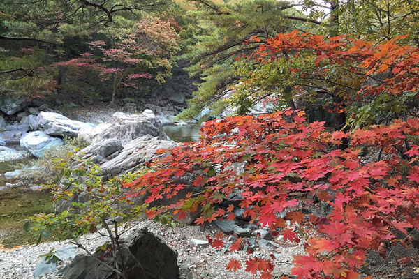 내연산 계곡에 단풍물이 들었다.