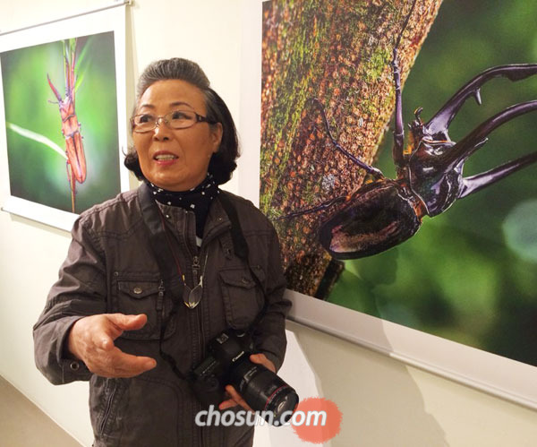 80세 할머니 사진작가 조유성씨가 4일 서울 인사동에서 연 곤충사진전에서 작품들을 설명하고 있다.