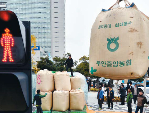 지난 9일 광주광역시 서구 광주시청 앞에서 전국농민회총연맹 광주시농민회가 쌀값 보장과 정부 수매 확대를 요구하며 나락 야적 시위를 벌이고 있다. 