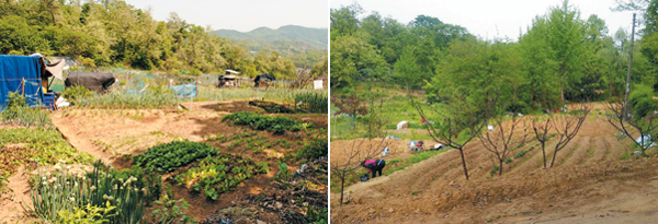 매각 대상인 경기도 하남시 감북 보금자리지구 주변의 감북동·초이동 그린벨트 토지. 미사지구와 위례신도시, 서울 송파를 연결하는 6차선 광역도로에 접해 있다.
