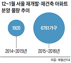 12~1월 서울 재개발, 재건축 아파트 분양 물량 추이 그래프