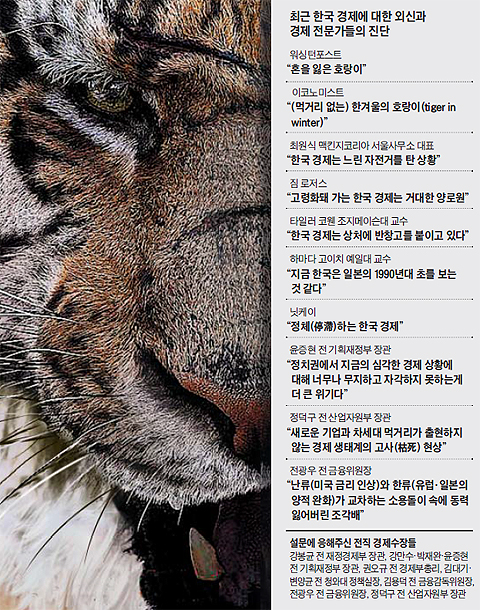 한국 경제에 대한 전문가들의 진단 정리 표