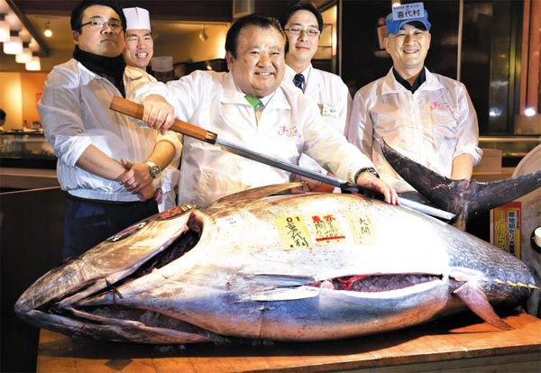 5일(현지 시각) 일본의 초밥 가게 체인을 운영하는 기무라 기요시가 도쿄 쓰키지 시장 경매에서 1400만엔에 낙찰받은 200㎏짜리 참치를 손질할 준비를 하고 있다.