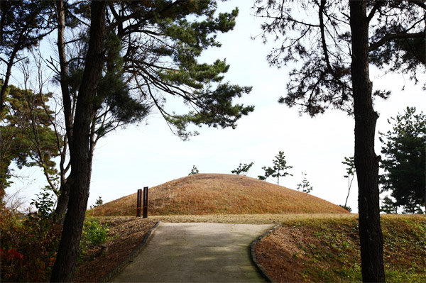 전북 익산 쌍릉 대왕묘 전경. 그동안 백제 무왕의 무덤이라고 전해져 왔으나 여성 치아 4점이 확인돼 무덤 주인이 여성일 가능성이 높아졌다.