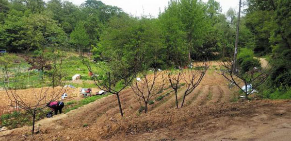 선착순 공개 분양 중인 하남시 감북동 및 초이동 그린벨트 토지. 서울 잠실까지 10분대, 강남까지는 20분대면 갈 수 있다.
