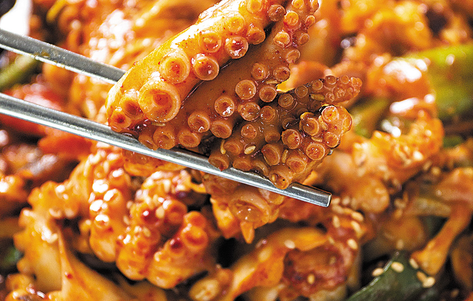 조선닷컴 검색