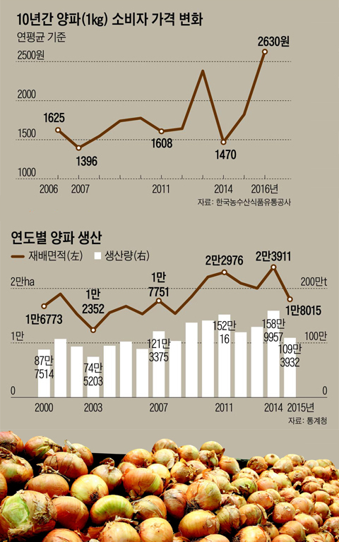 10년간 양파 소비자 가격 변화