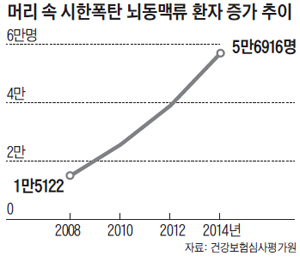 머리 속 시한폭탄 뇌동맥류 환자 증가 추이 그래프