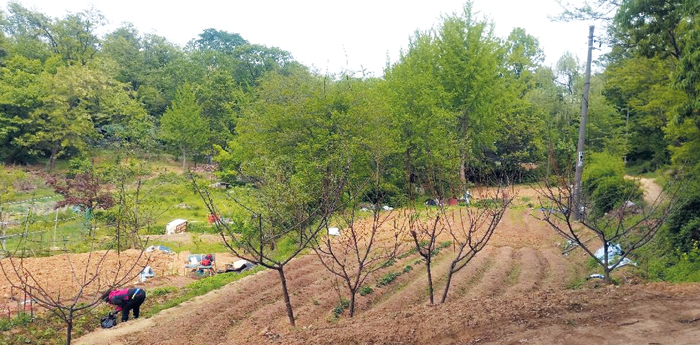 매각 대상인 경기도 하남시 감북동과 초이동 토지. 서울 강동구 둔촌동에 접해있다.