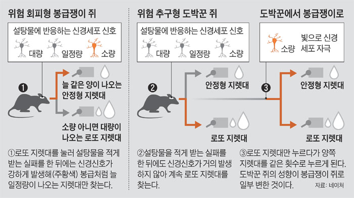 내 머릿속의 도박 신경세포