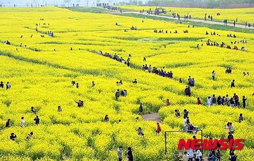 부산의 ‘봄’…"서부산 체험투어 한다고 전해라"