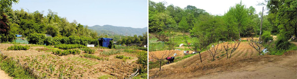 하남시