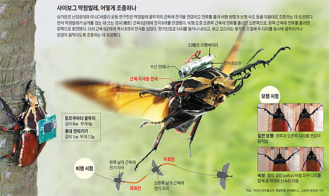 이미지를 클릭하시면 그래픽 뉴스로 크게 볼 수 있습니다 / 조선닷컴