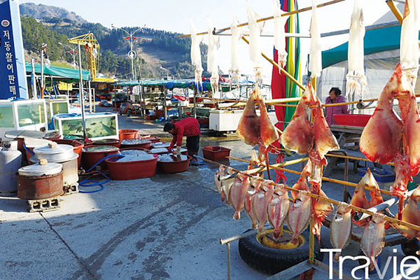 저동항에서는 울릉도 인근 해안에서 잡히는 각종 해산물을 맛볼 수 있다