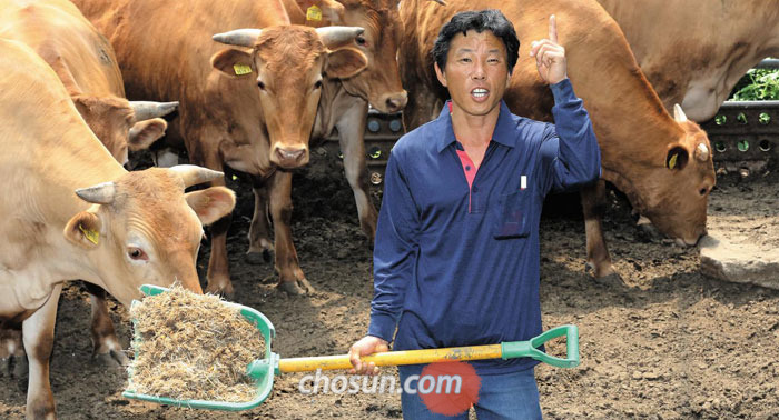 탈북민 김명석(가명)씨가 지난달 27일 경기도 남양주 목장에서 키우는 소들에게 건초를 주며 환하게 웃고 있다.