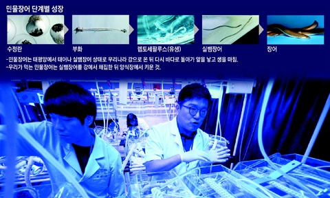 부산시 기장군 국립수산과학원 생명교육연구동 내 뱀장어 연구실.