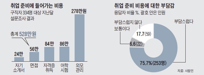 취업 준비에 들어가는 비용 그래프