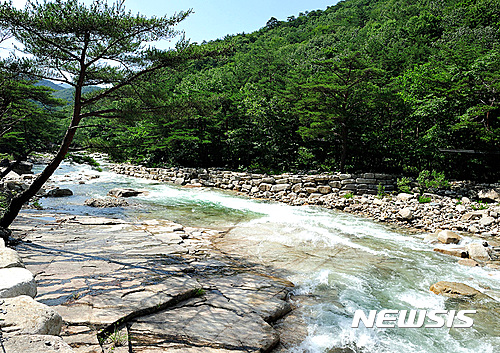 해외 안 부러운 국내 산과 계곡 휴가지 '톱3'