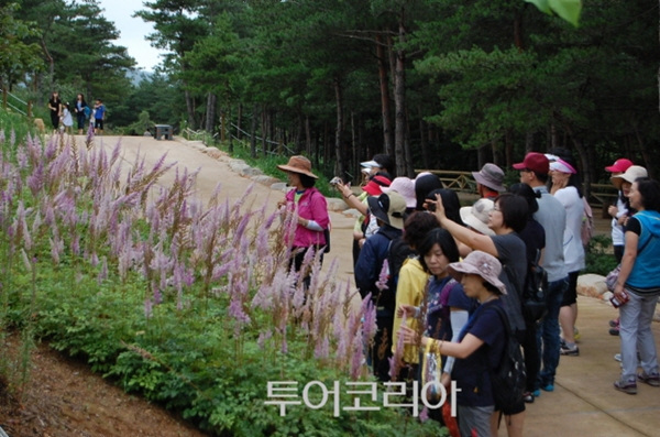 설악산자생식물원