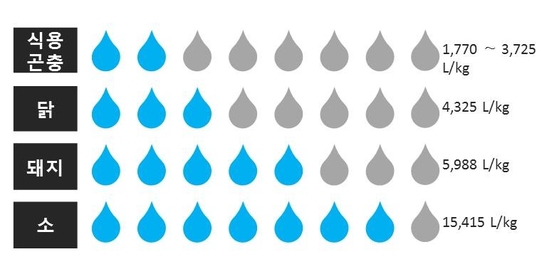 식량자원별 단백질 1kg을 생산하는 데 필요한 물 소비량 비교/물발자국(www.waterfootprint.org) 제공