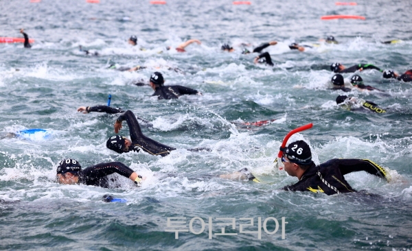 세계로스포츠 이미지
